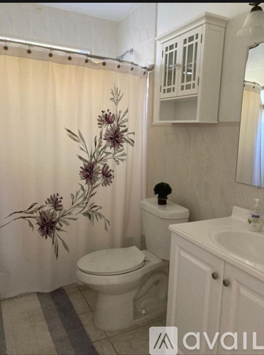 A bathroom with a toilet, sink, and shower curtain.