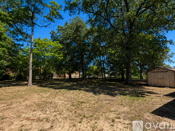 A field with trees and a shed.
