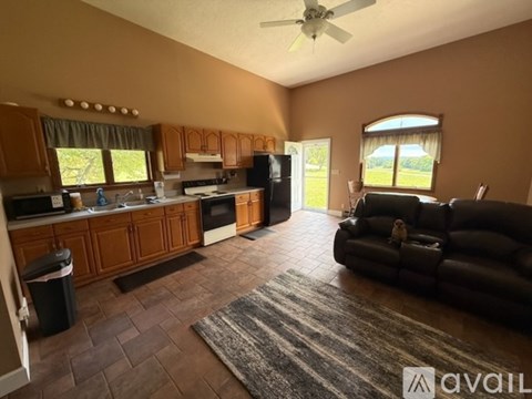 A living room with a couch, a kitchen area, and a window with a view of the lawn.
