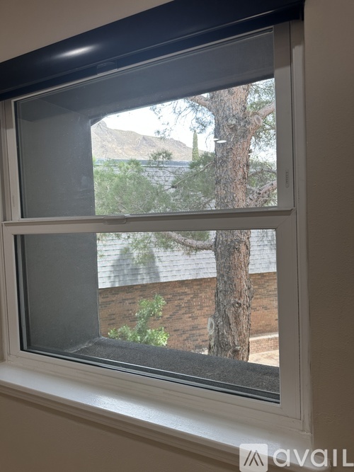A window with a view of a tree and a building outside.