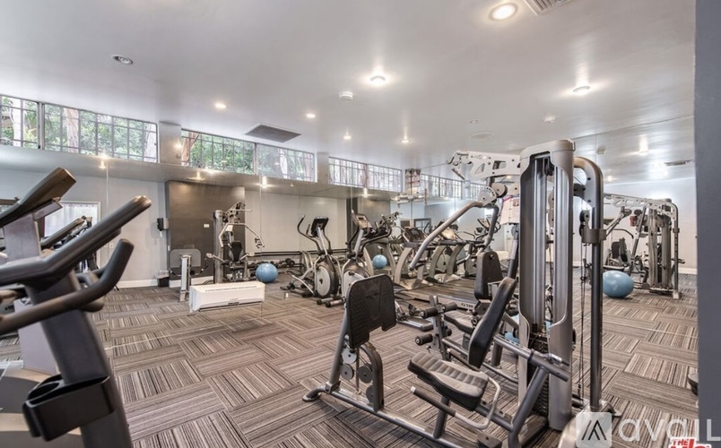 A well-equipped gym with various exercise machines and a treadmill.