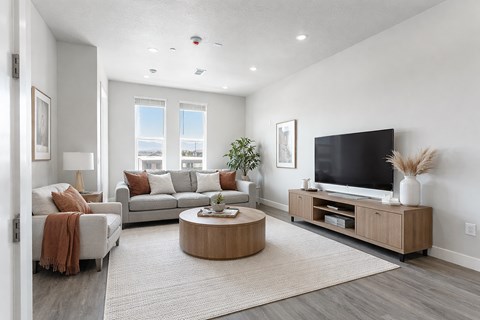 A modern living room with a grey sofa, a wooden coffee table, and a flat screen TV.