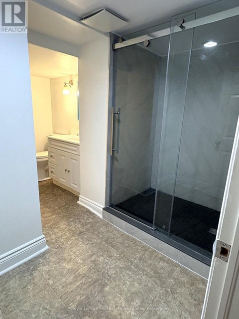A bathroom with a walk-in shower and a toilet.