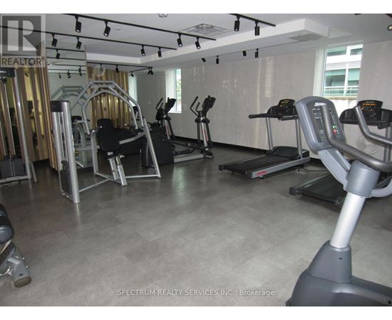 A gym with treadmills and elliptical machines.