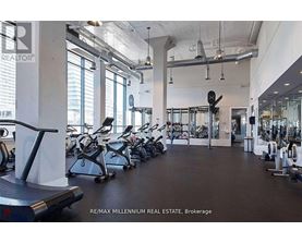 A gym with treadmills, weights and exercise machines.