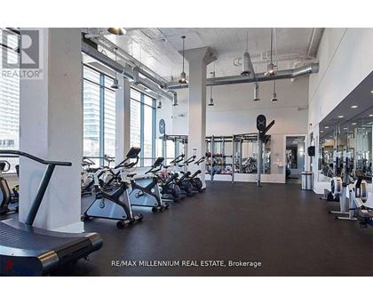 A gym with treadmills, weights and exercise machines.