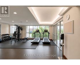 A gym with treadmills, weights, and exercise equipment.