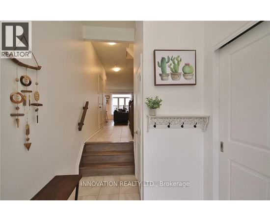 A hallway with a cactus and a picture of cacti on the wall.