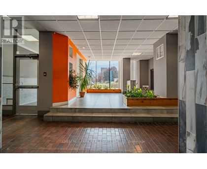 A hallway with a plant on the steps.