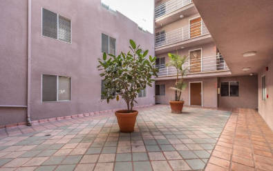 A courtyard with a tree and potted plants.