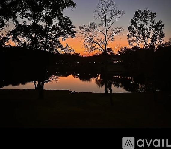 A serene landscape with trees and a lake at sunset.