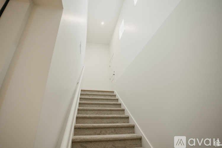 A staircase with beige carpeted steps and white walls.