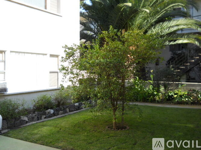 A tree in a garden in front of a white building.