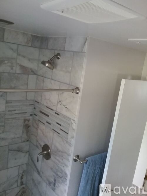 A bathroom with a marble shower and a white door.