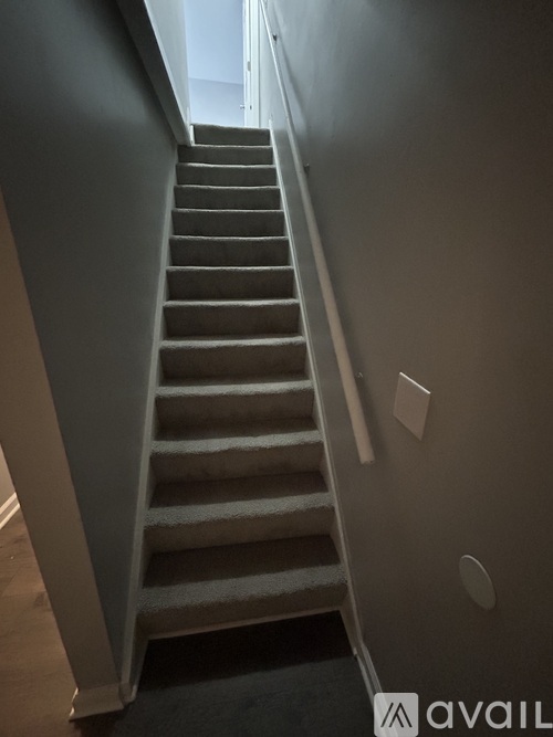 A staircase with a carpeted bottom step.