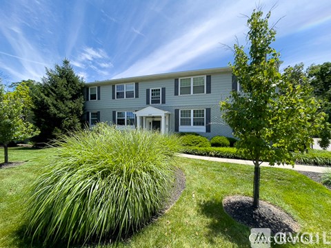 A house with a grey facade is surrounded by greenery.