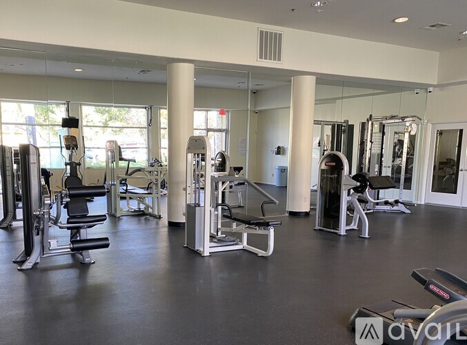 A gym with a variety of equipment including treadmills, weights, and exercise machines.