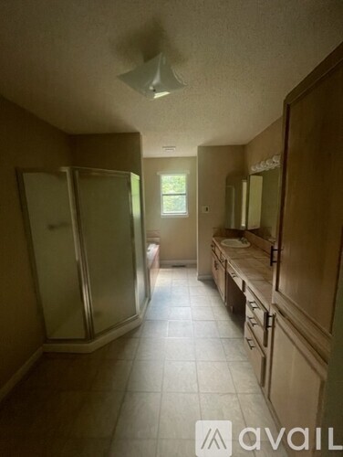 A bathroom with a walk-in shower and a vanity with a mirror.