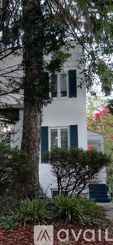 5007 Nebraska Avenue Northwest 3 Beds Apartment for Rent