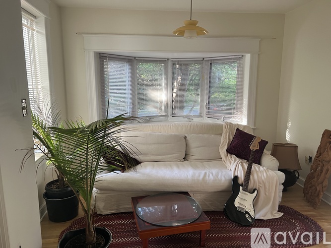 A living room with a white couch, a guitar, and a palm tree.
