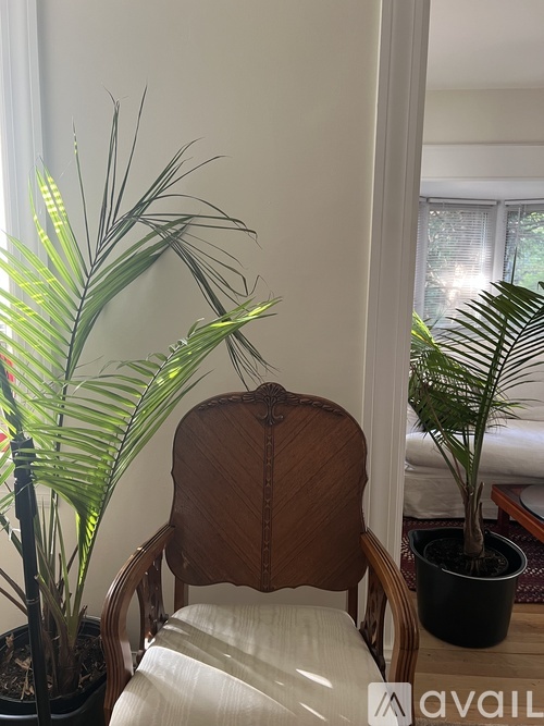A wooden chair with a white cushion sits in front of a window with a potted plant to its left.