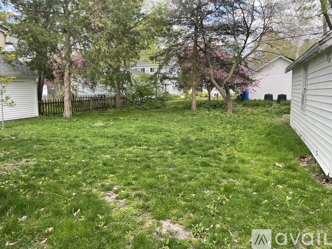 A backyard with a green lawn and trees.