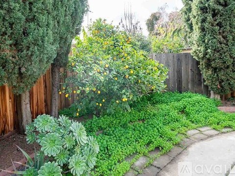 2075 Lockwood Drive 4 Beds Apartment for Rent