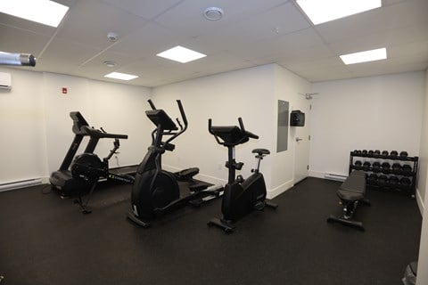 A gym with a row of exercise bikes and a bench press.
