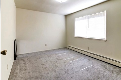 A room with a carpeted floor, a window with blinds, and a door with a handle.
