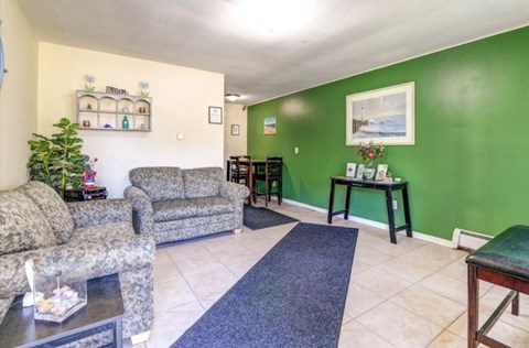 A living room with a green wall and a grey sofa.