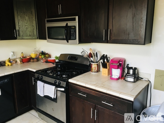 5027 Campanile Drive 5 Beds Single Family Home for Rent - Photo gallery 5