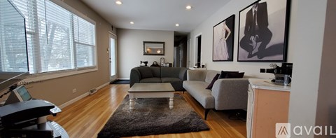 A living room with a grey couch and a black rug.