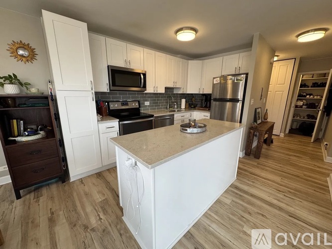 1355 N Sandburg Terrace 1 Condo for Rent - Photo gallery 1