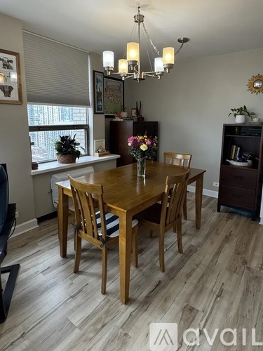 1355 N Sandburg Terrace 1 Condo for Rent - Photo gallery 3