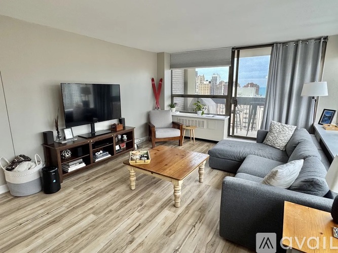 1355 N Sandburg Terrace 1 Condo for Rent - Photo gallery 5