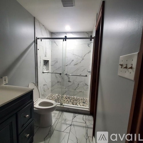 A bathroom with a walk-in shower and a toilet.