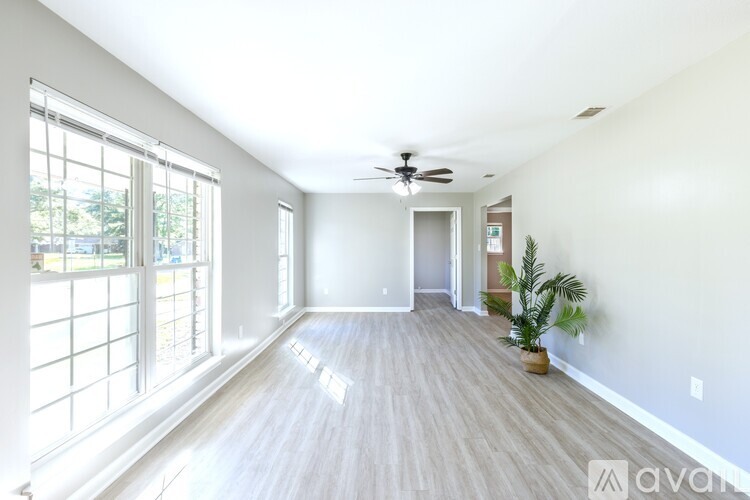 A spacious room with a ceiling fan and a potted plant.