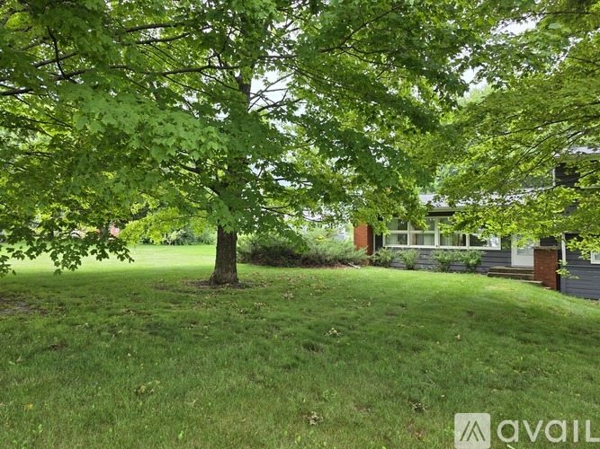 A tree in a grassy area with a house in the background.
