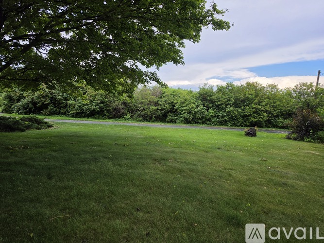 A grassy field with trees and a cloudy sky.