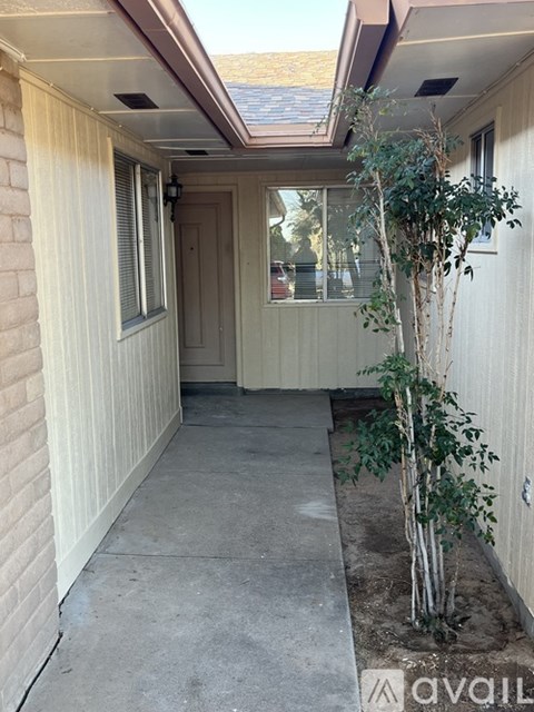 A small tree is growing in a concrete planter on the side of a house.