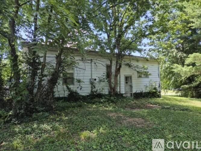 An old white house surrounded by trees and vegetation.