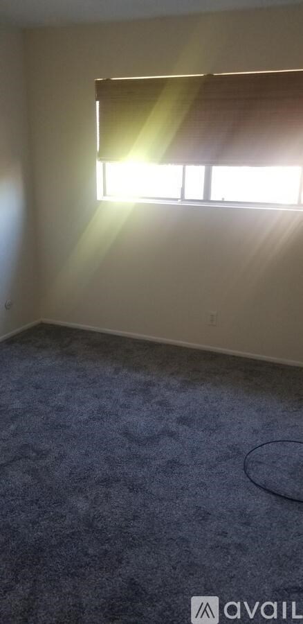 A room with a window and a blue carpet.