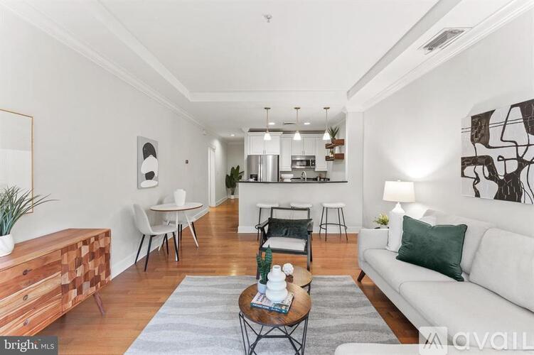 401 13th Street Northeast 1 Condo for Rent - Photo gallery 1