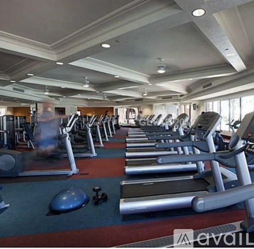 A gym with treadmills and elliptical machines.