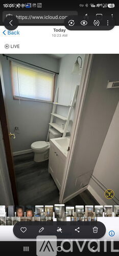 1905 Tanglewood Drive South 3 Beds Single Family Home for Rent - Photo gallery 5