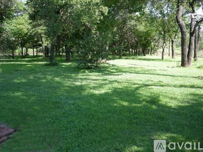 A grassy field with trees in the background.