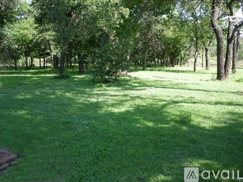 A grassy field with trees in the background.