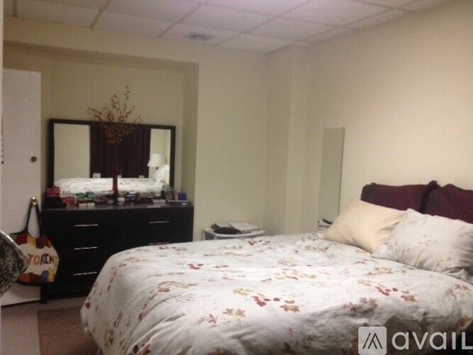 A bedroom with a bed, dresser, mirror, and a rug.