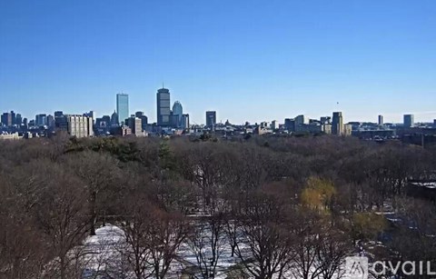 A city skyline with tall buildings and bare trees in the foreground.