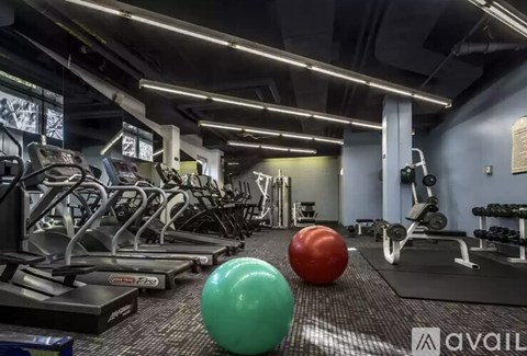 A gym with treadmills, weights, and exercise balls.